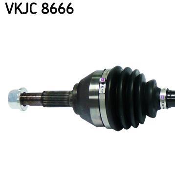 Cardã SKF ref. VKJC 8666